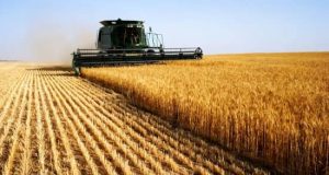 کشاورزی مدرن و صنایع غذایی